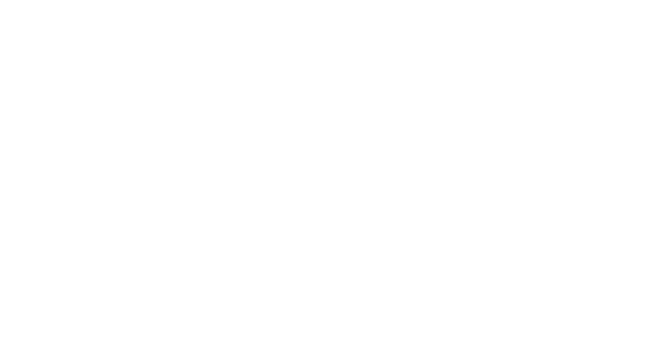 Married at First Sight logo