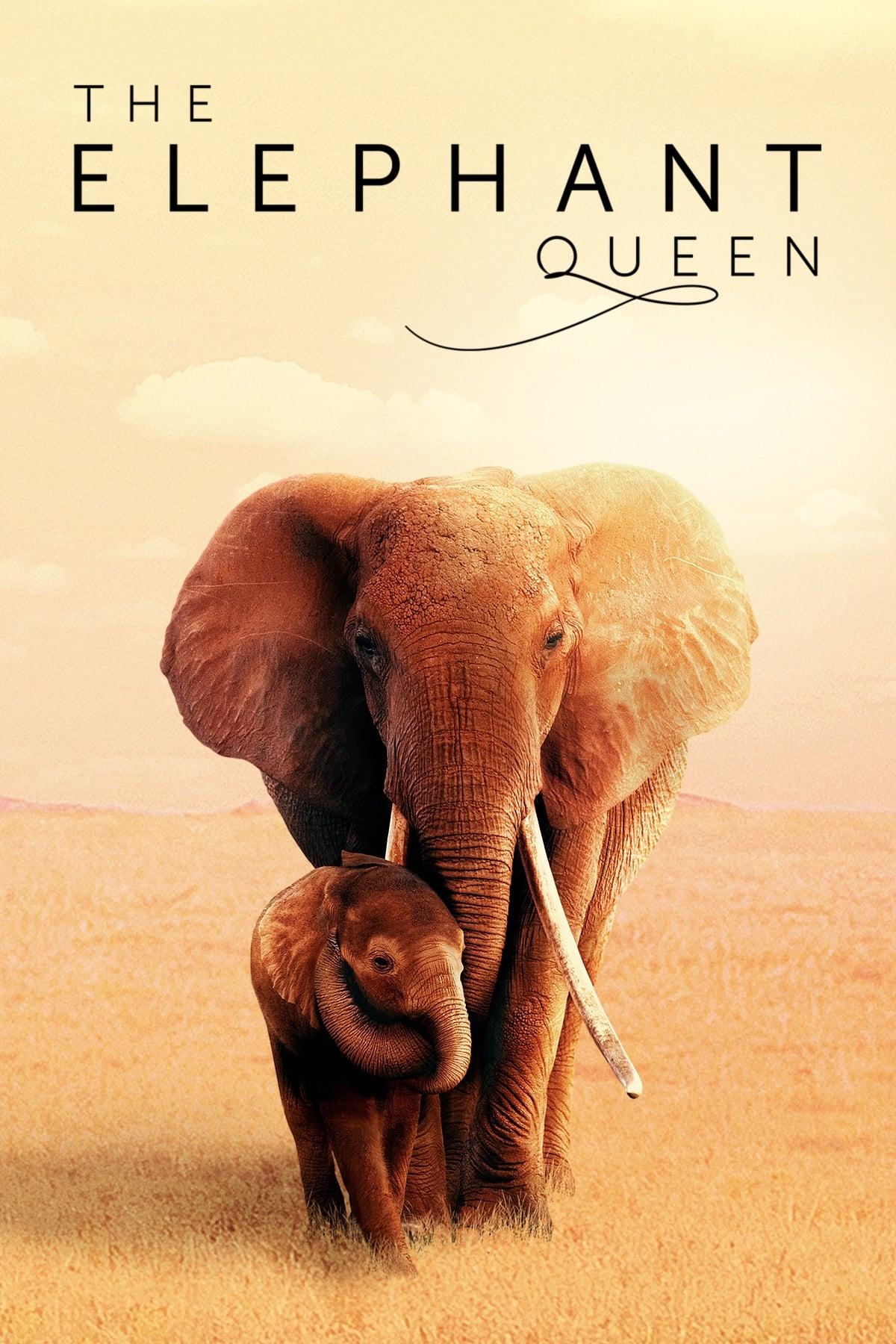 The Elephant Queen poster