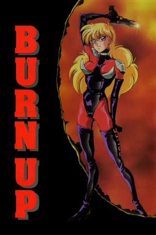 Burn Up poster
