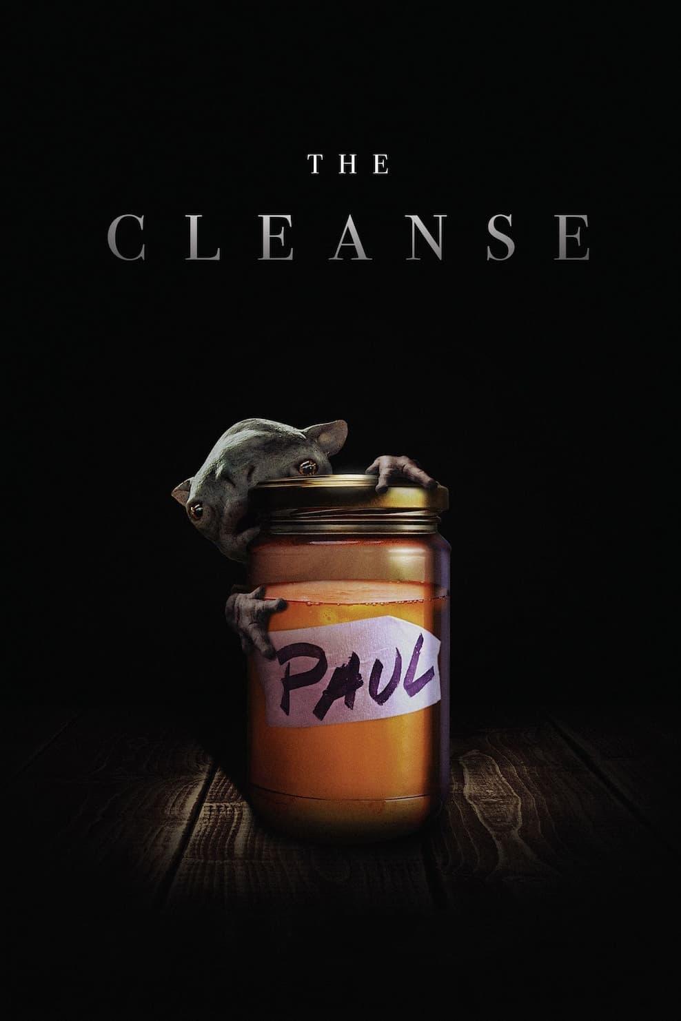 The Cleanse poster
