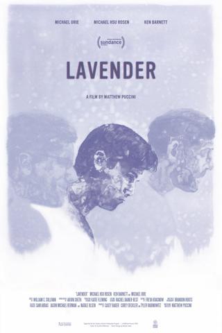 Lavender poster