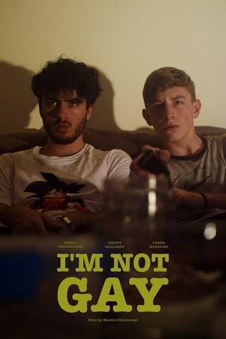 I’m Not Gay poster
