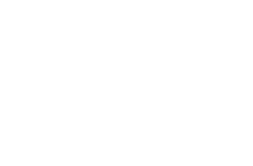Enemy Lines logo