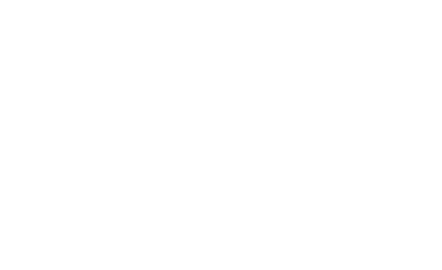 Fast & Feel Love logo
