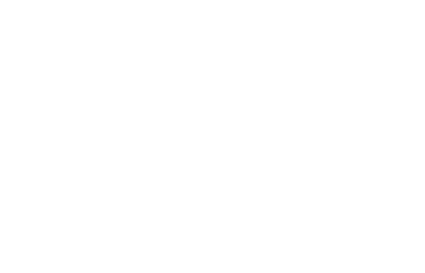 Silver Linings Playbook logo