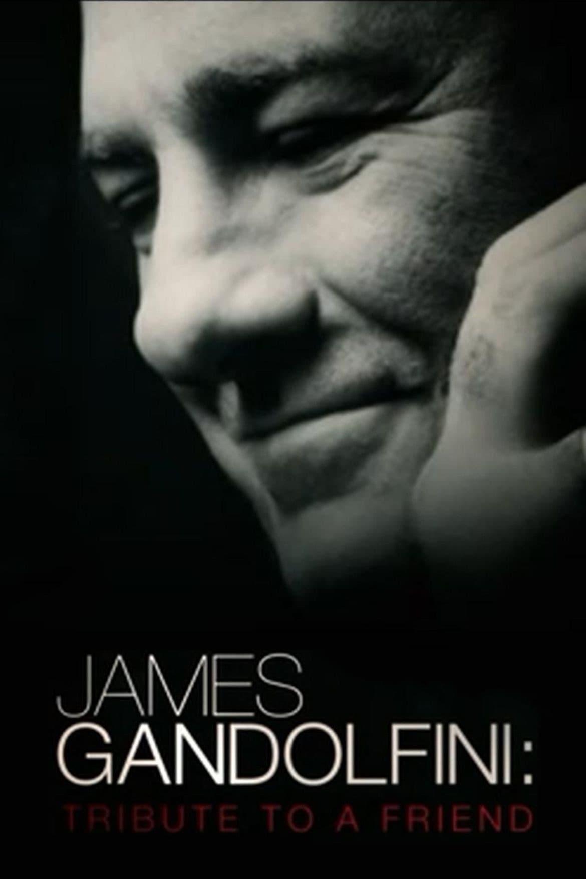 James Gandolfini: Tribute to a Friend poster