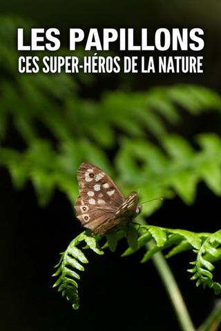Les Papillons, ces super-héros de la nature poster