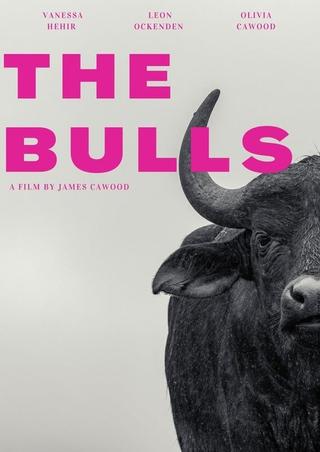 The Bulls poster