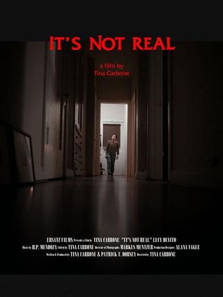 It's Not Real poster