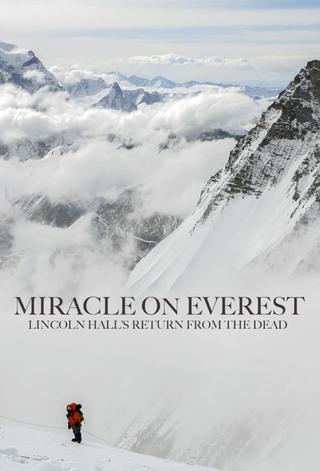 Miracle on Everest poster