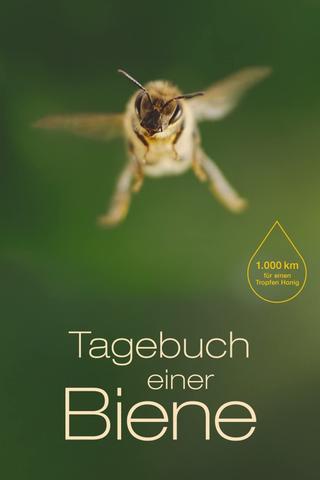 Diary of a Bee poster