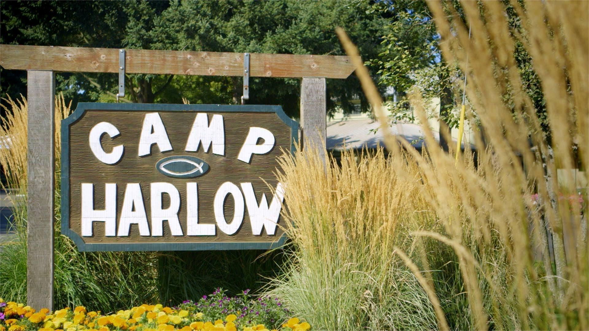 Camp Harlow backdrop