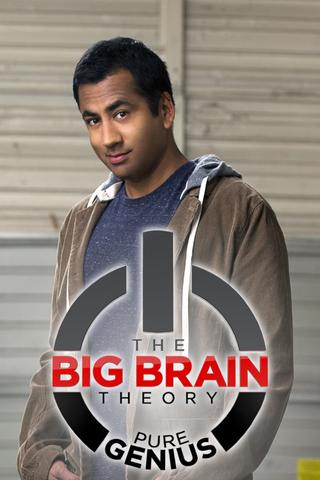 The Big Brain Theory poster