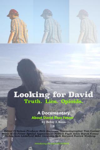 Looking for David poster