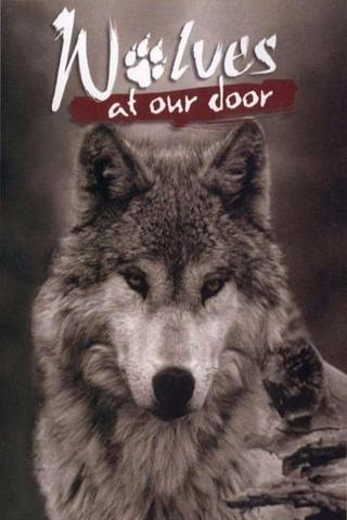 Wolves at Our Door poster