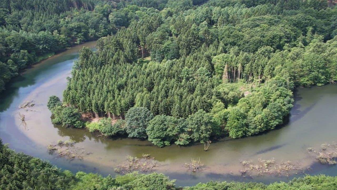 Germany's Wild Amazon backdrop