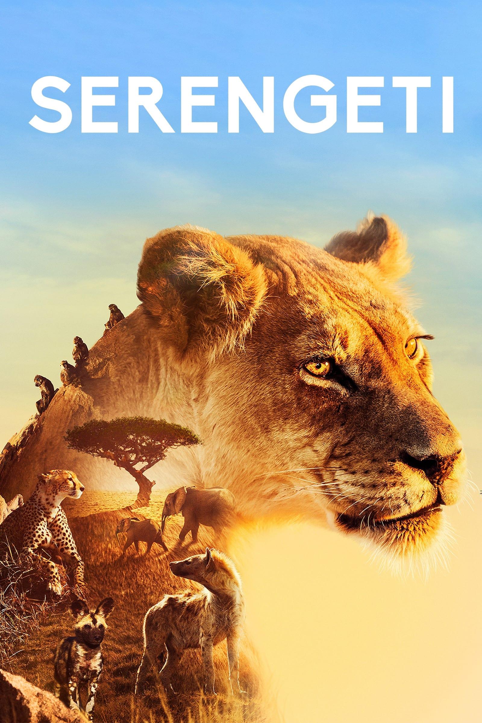 Serengeti poster