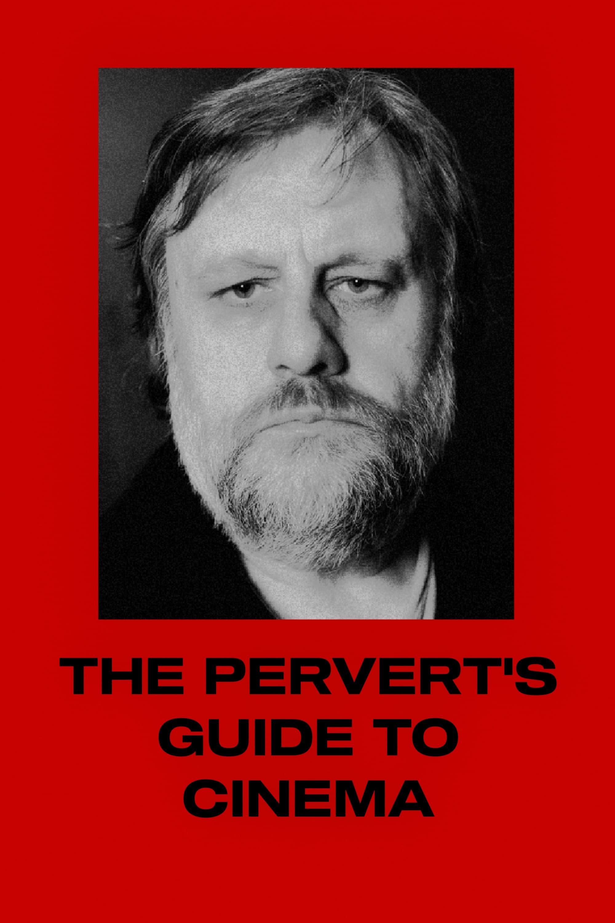 The Pervert's Guide to Cinema poster