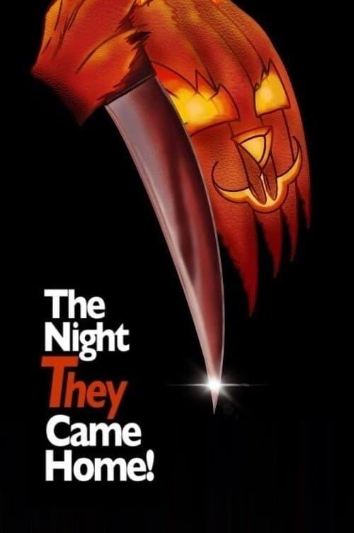 Mr. Bungle: The Night They Came Home poster