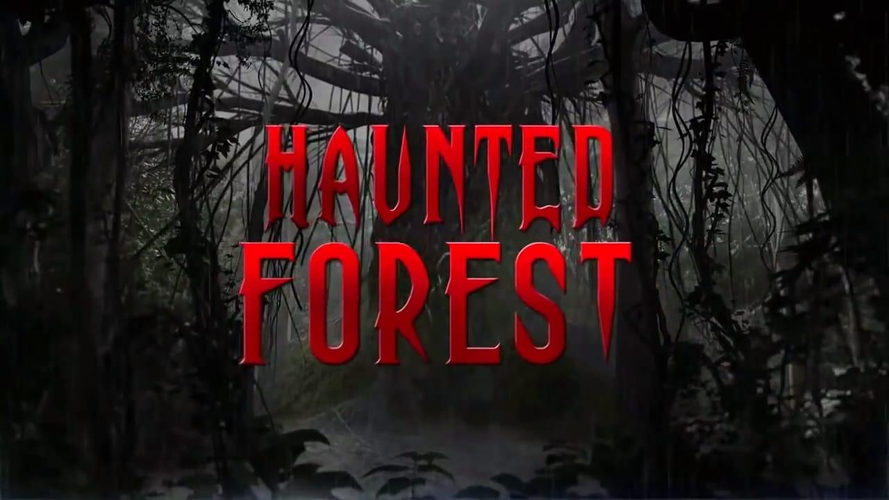 Haunted Forest backdrop