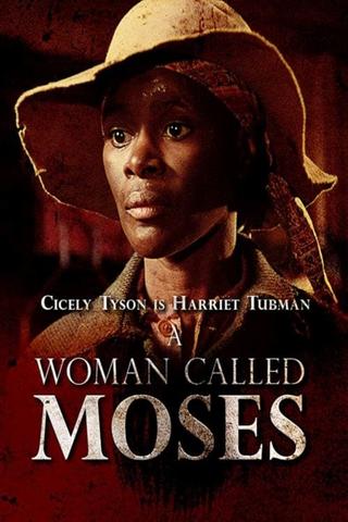 A Woman Called Moses poster