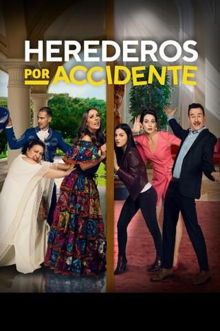 Heirs by Accident poster
