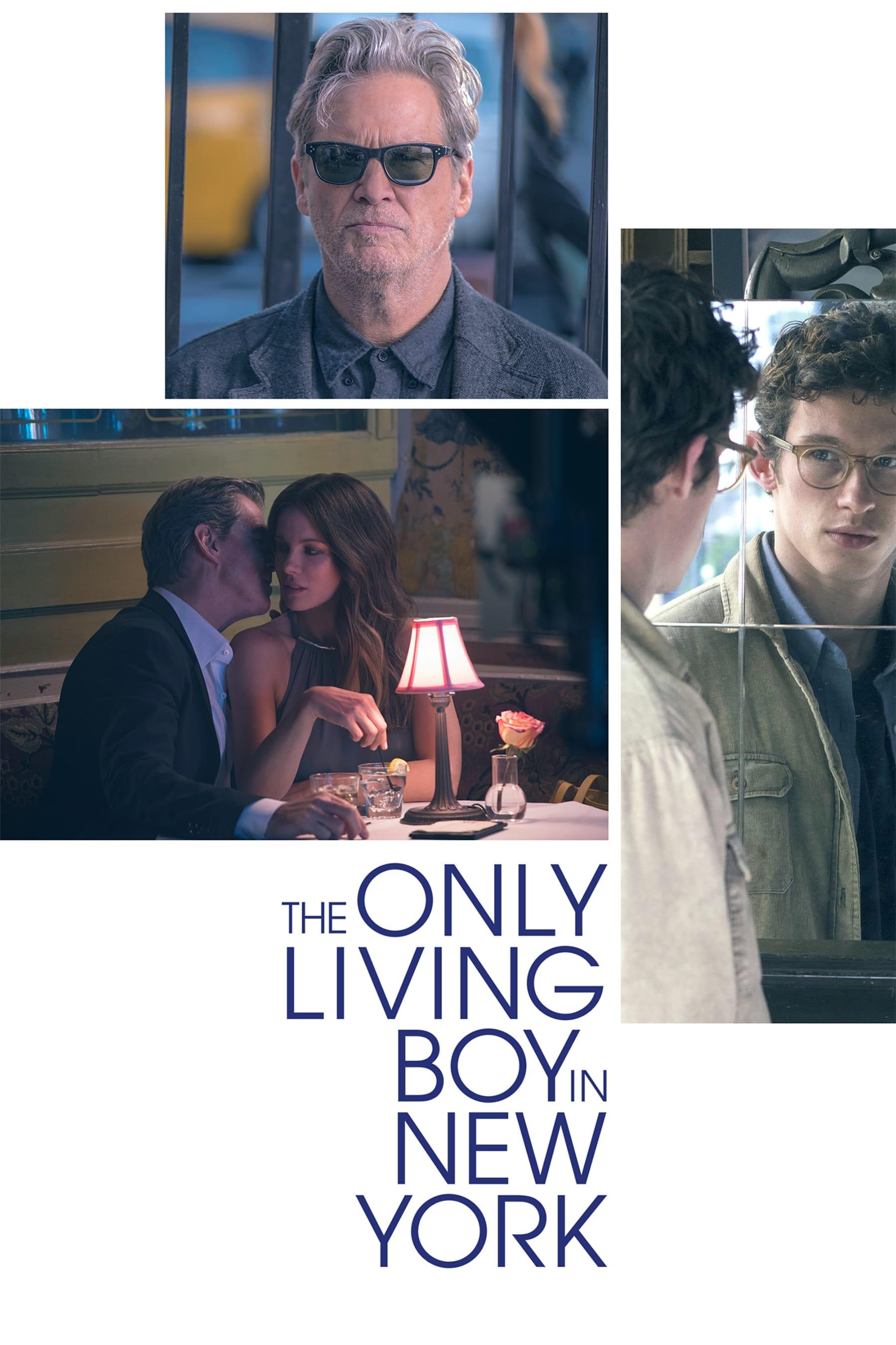 The Only Living Boy in New York poster