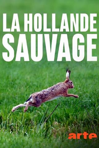 La Hollande sauvage -  La faune des polders poster