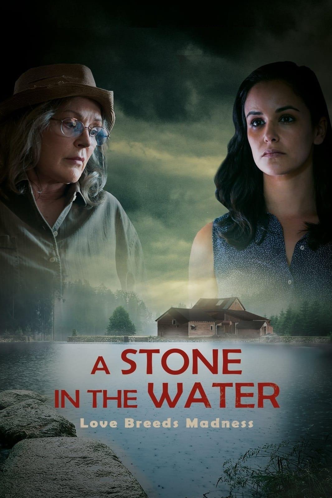 A Stone in the Water poster