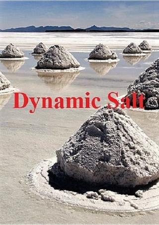 Dynamic Salt poster