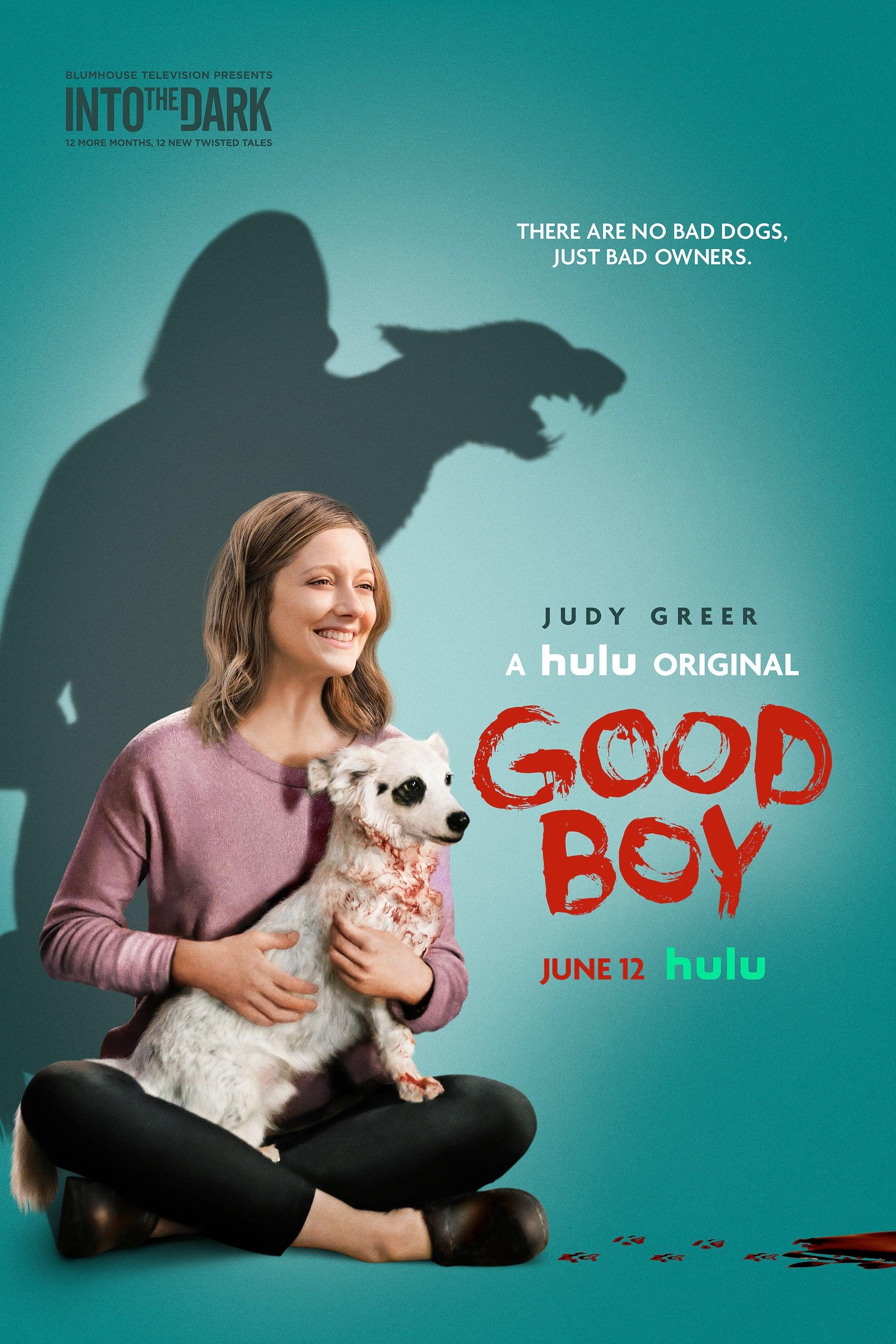 Good Boy poster