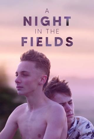 A Night in the Fields poster