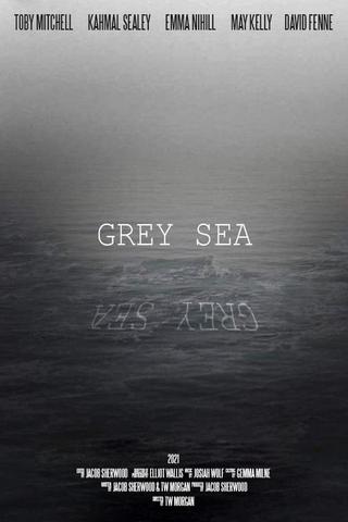 Grey Sea poster