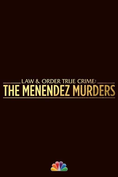 Law & Order True Crime poster
