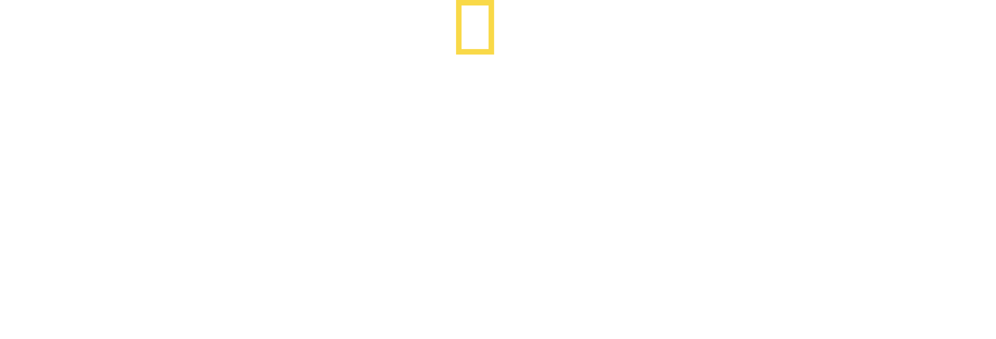 Ultimate Tutankhamun logo