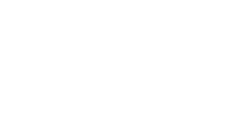 A Perfect Pairing logo