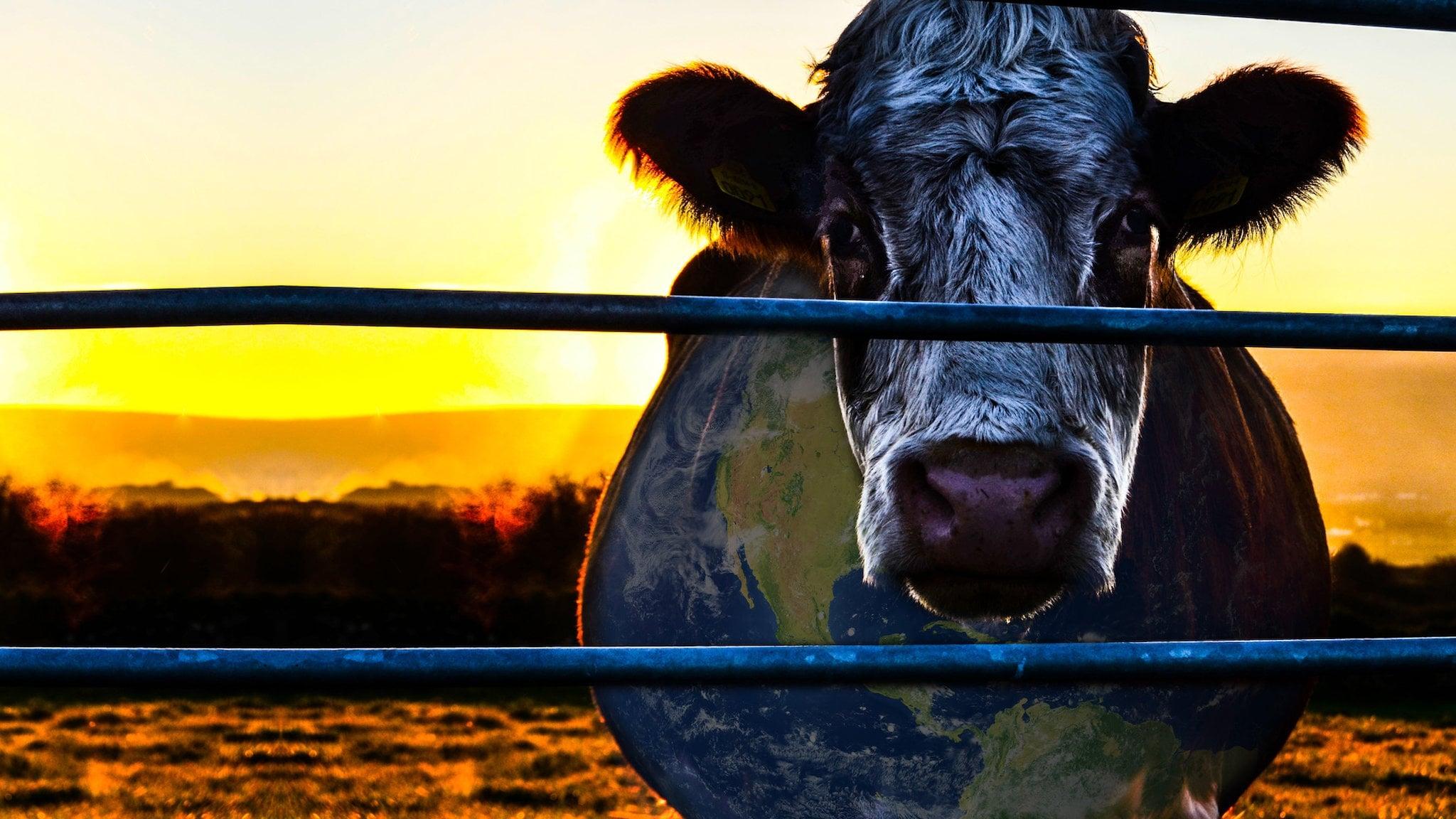 Cowspiracy: The Sustainability Secret backdrop