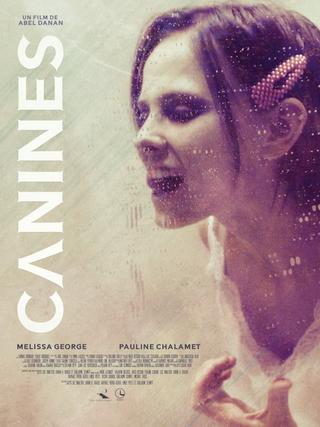 Canines poster