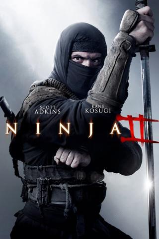 Ninja: Shadow of a Tear poster