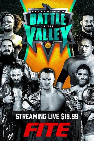 NJPW: Battle In The Valley poster
