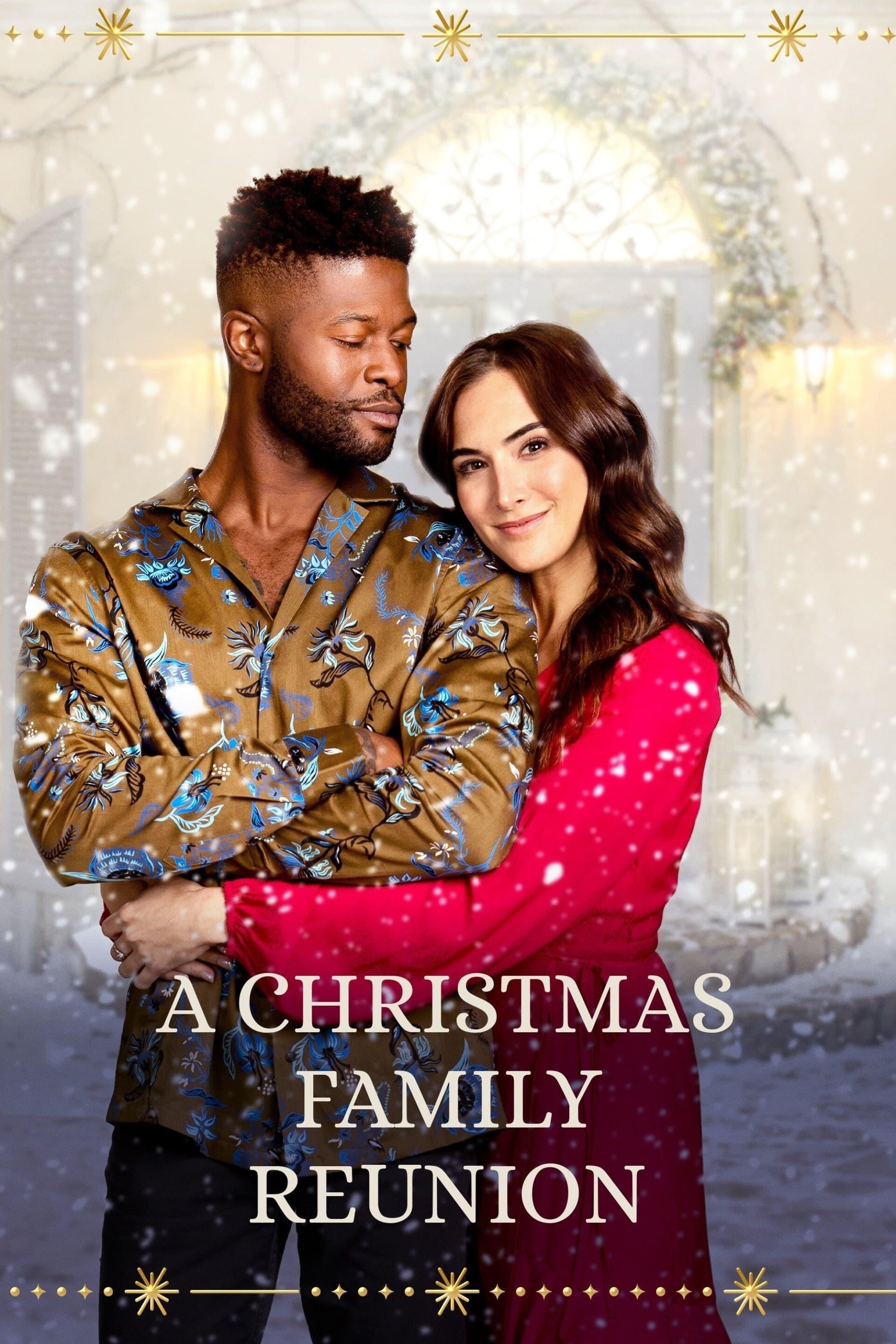 Welcome to the Christmas Family Reunion poster