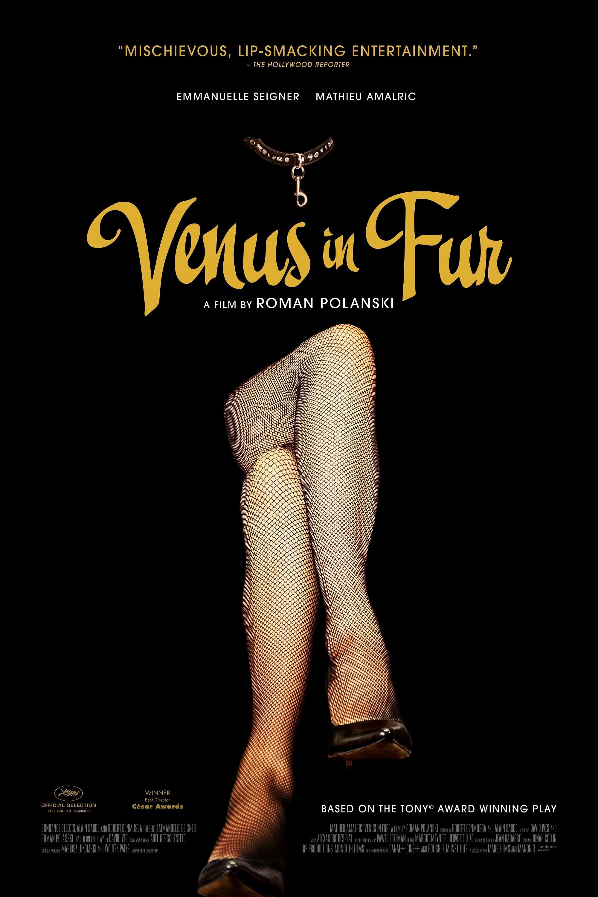 Venus in Fur poster