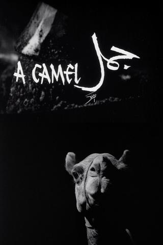 A Camel poster