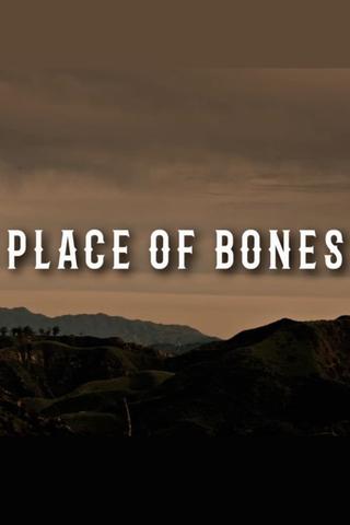 Place of Bones poster