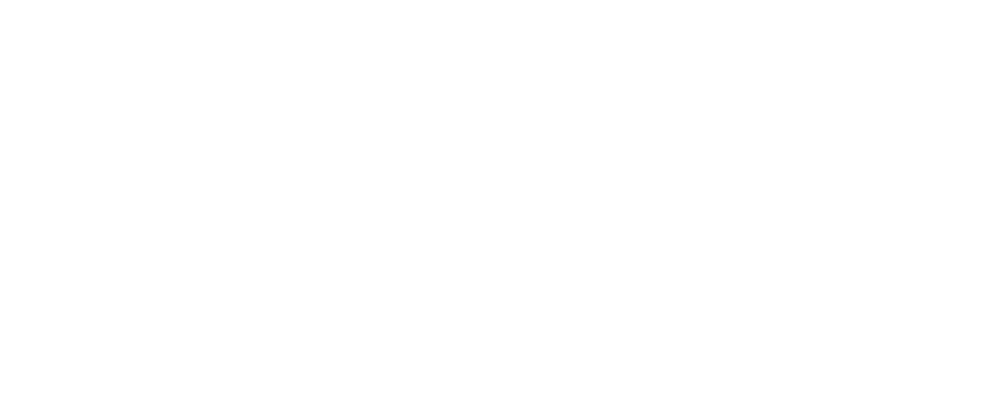 Baskets logo