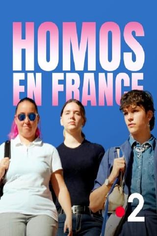Homos in France poster