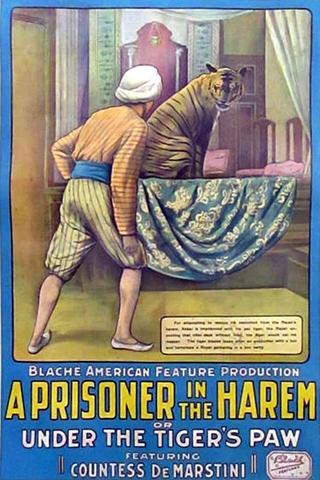 A Prisoner in the Harem poster