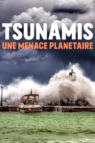 Tsunamis: Facing a Global Threat poster