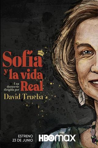 Sofía y la vida real poster