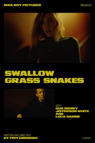 Swallow Grass Snakes poster